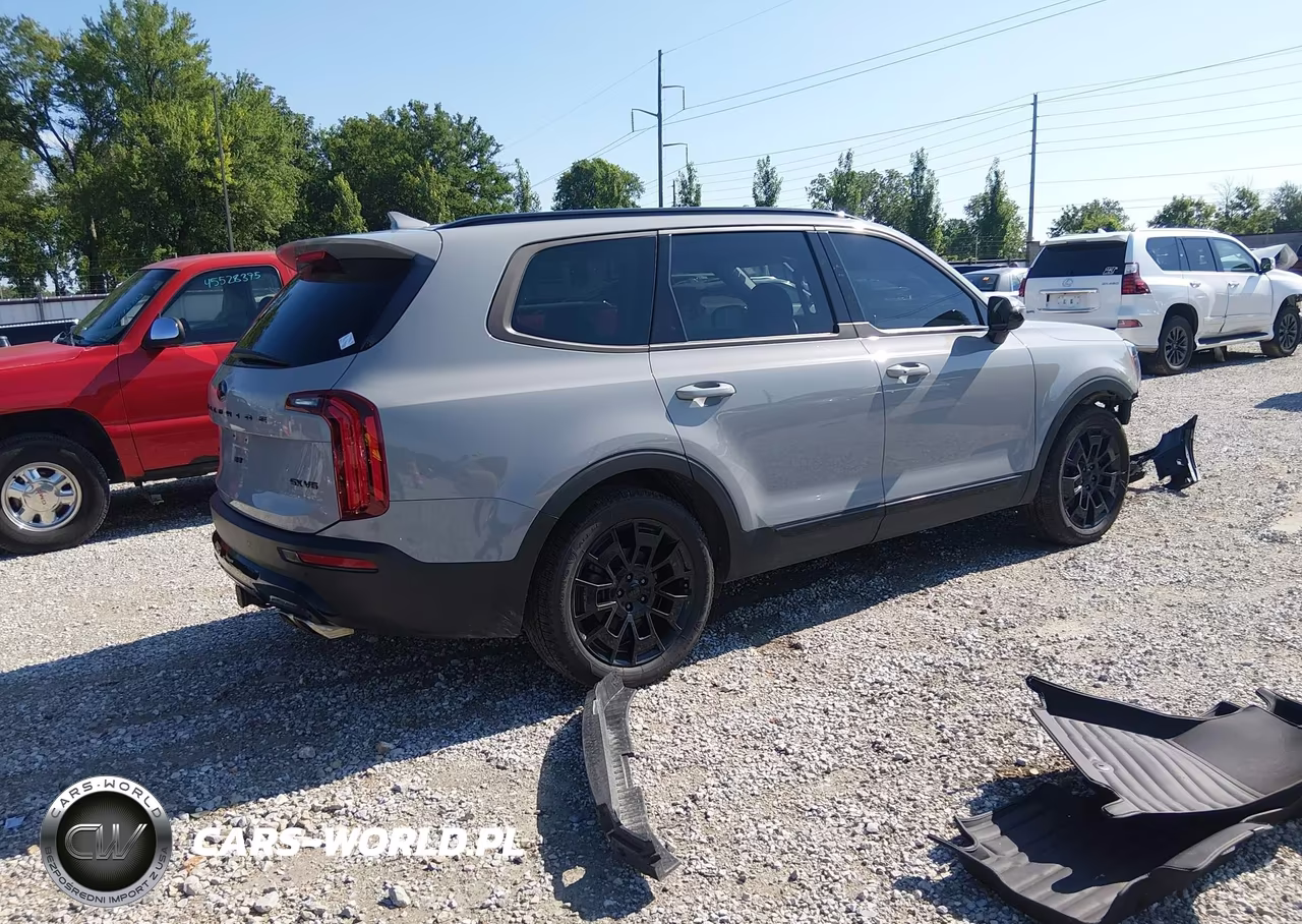 2021 Kia Telluride Sx VIN:5XYP5DHC1MG158076 - 4