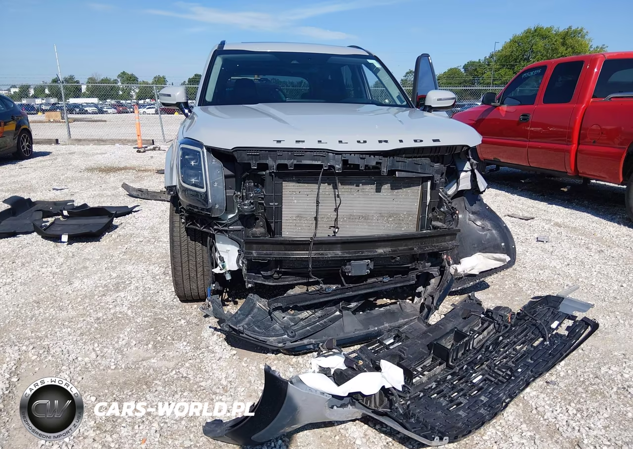 2021 Kia Telluride Sx VIN:5XYP5DHC1MG158076 - 6