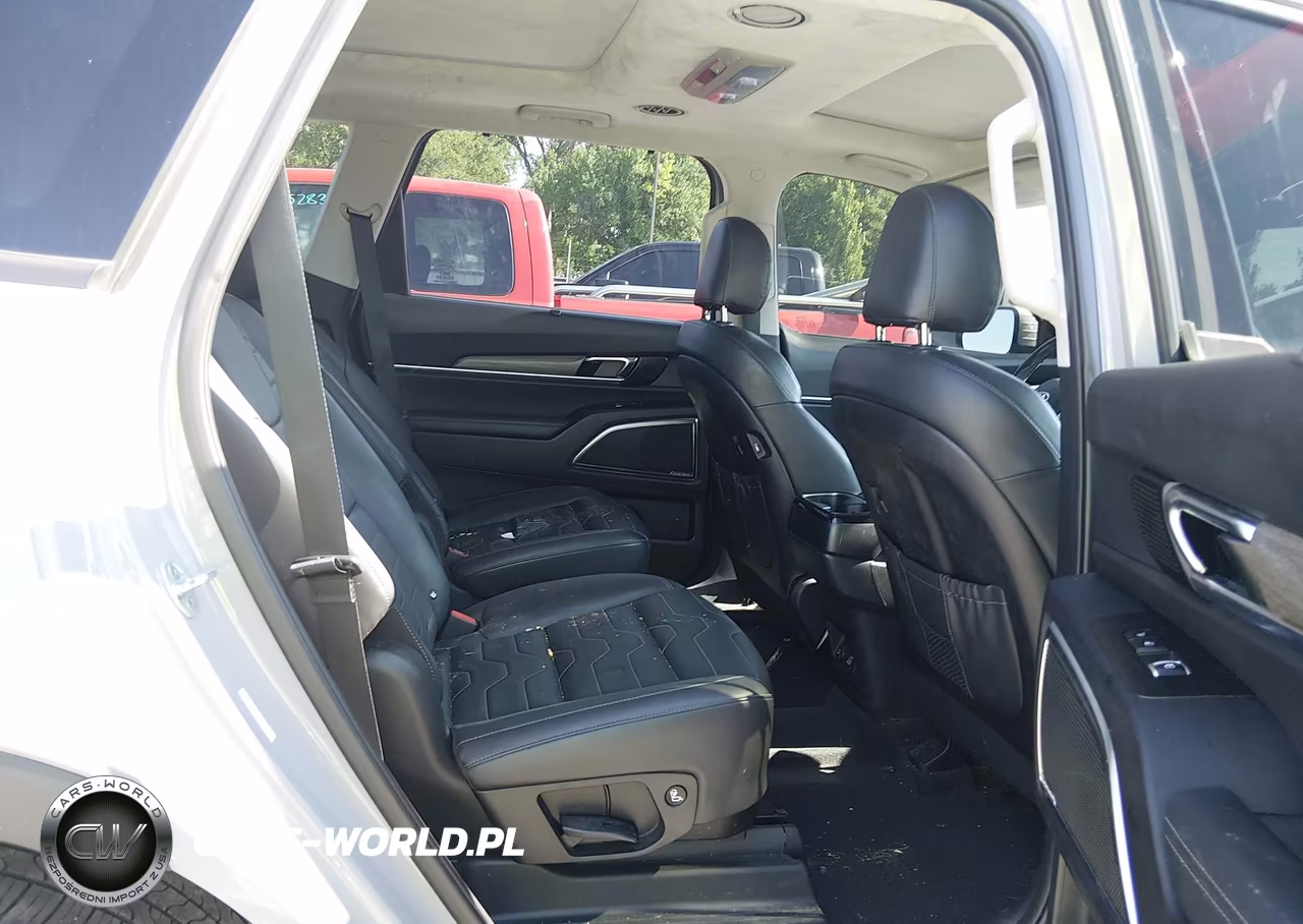 2021 Kia Telluride Sx VIN:5XYP5DHC1MG158076 - 8