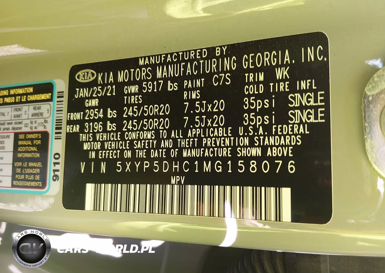 2021 Kia Telluride Sx VIN:5XYP5DHC1MG158076 - 9