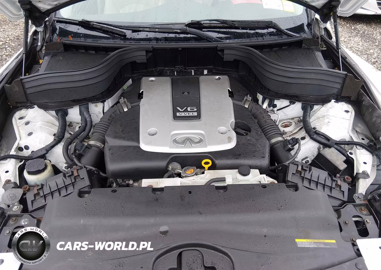 2017 Infiniti Qx50 VIN:JN1BJ0RR7HM410406 - 10