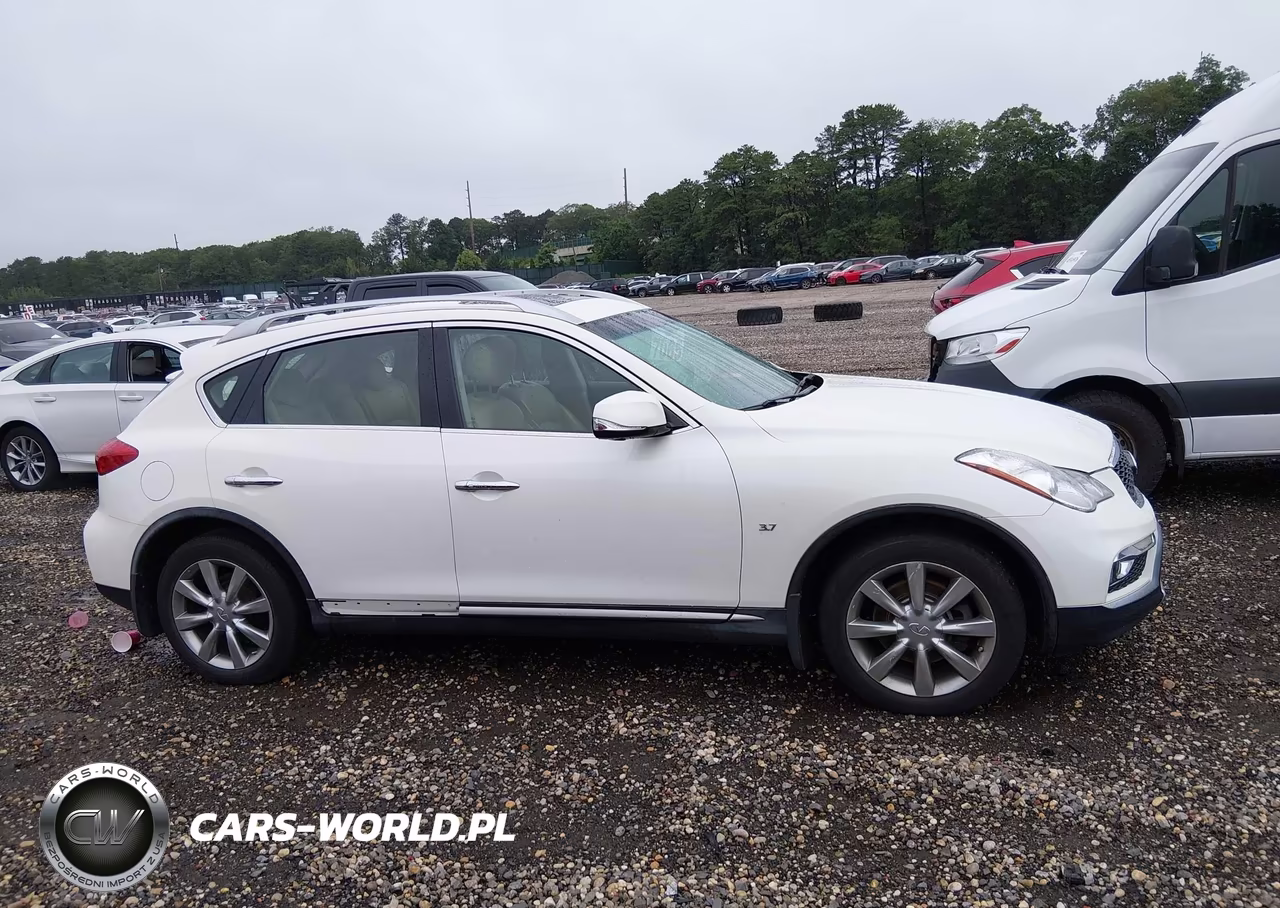 2017 Infiniti Qx50 VIN:JN1BJ0RR7HM410406 - 13