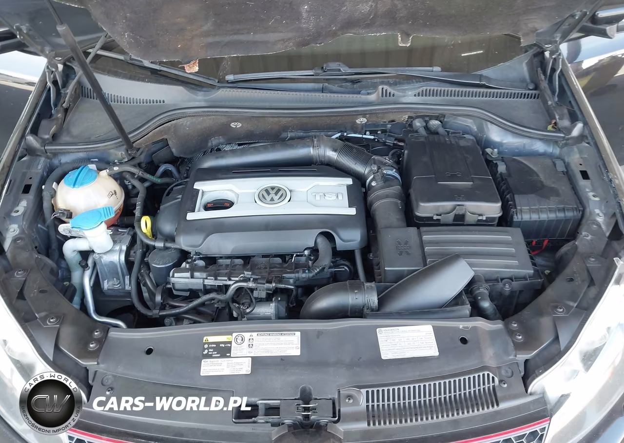 2013 Volkswagen Gti Wolfsburg Edition VIN:WVWHD7AJ6DW139334 - 10