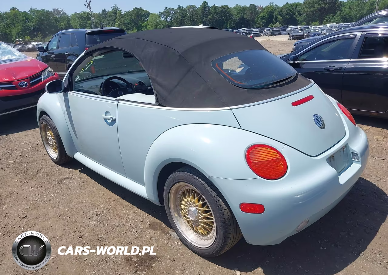 2005 Volkswagen New Beetle Gls VIN:3VWCM31Y45M313139 - 3