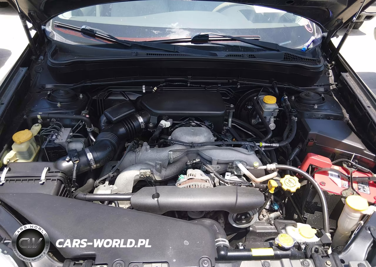 2010 Subaru Forester 2.5X Premium VIN:JF2SH6CC2AH710063 - 10