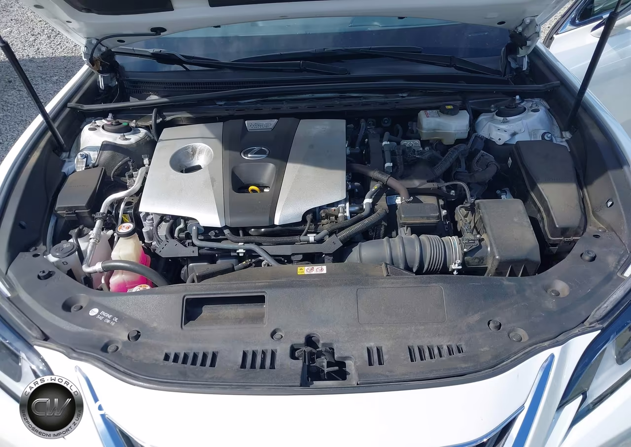 2019 Lexus Es 300H VIN:JTHB21B16K2001867 - 10