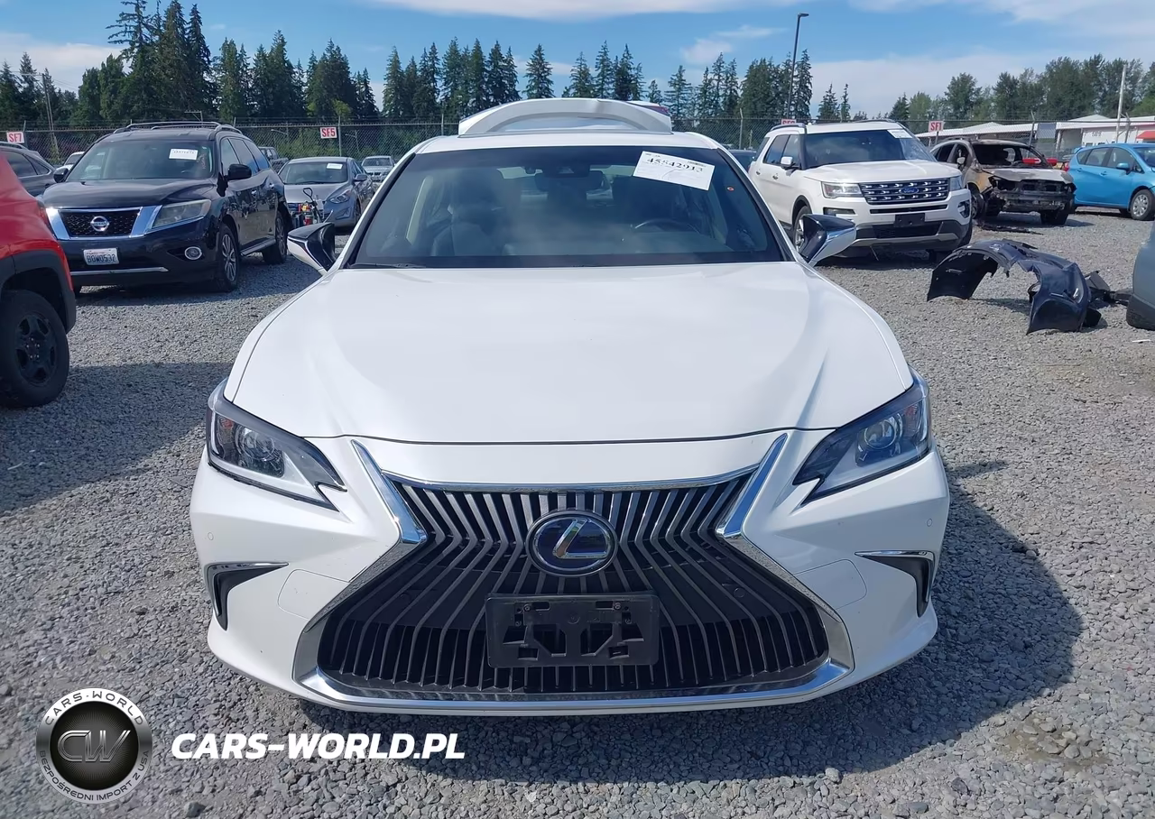 2019 Lexus Es 300H VIN:JTHB21B16K2001867 - 12