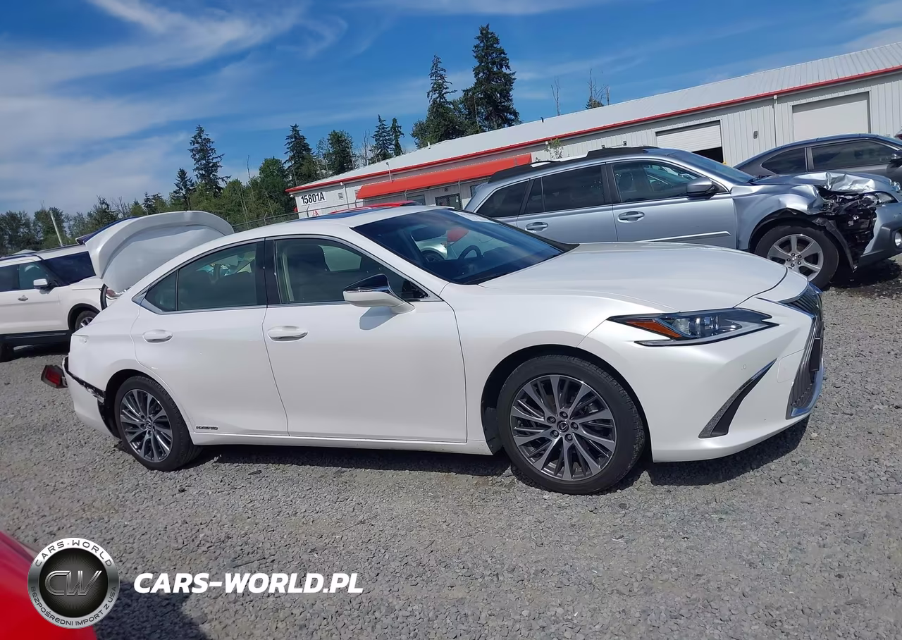 2019 Lexus Es 300H VIN:JTHB21B16K2001867 - 13