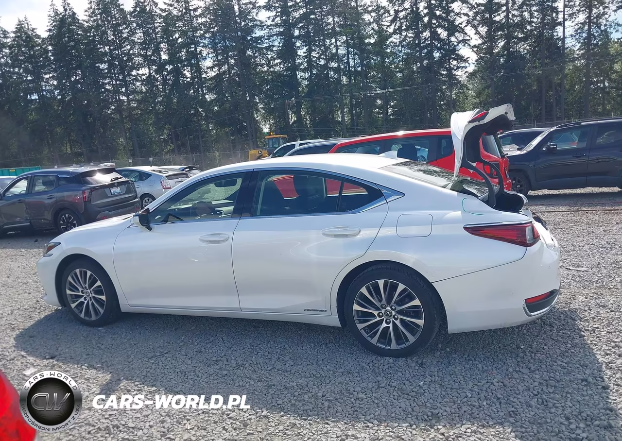 2019 Lexus Es 300H VIN:JTHB21B16K2001867 - 14