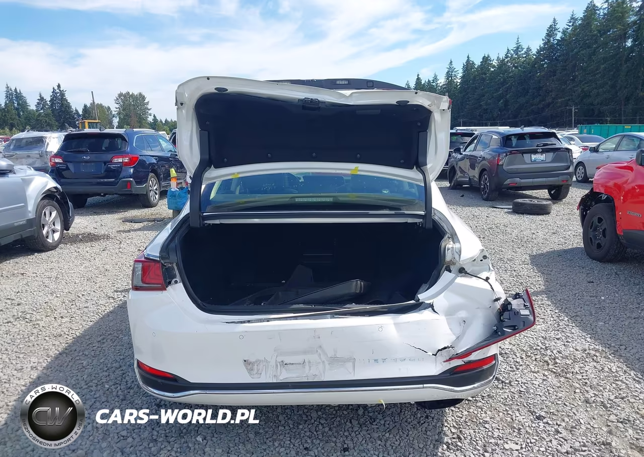 2019 Lexus Es 300H VIN:JTHB21B16K2001867 - 16