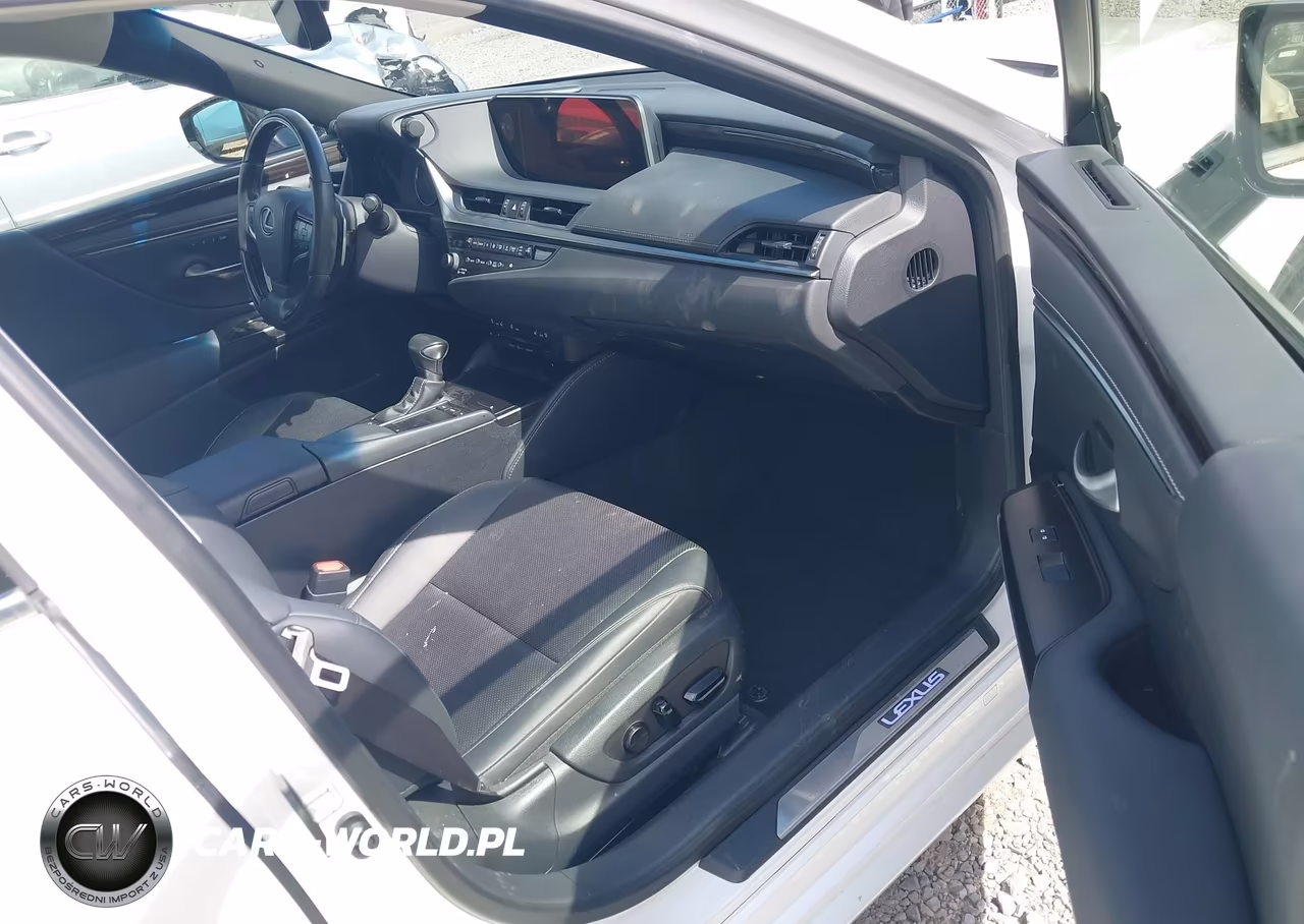 2019 Lexus Es 300H VIN:JTHB21B16K2001867 - 17