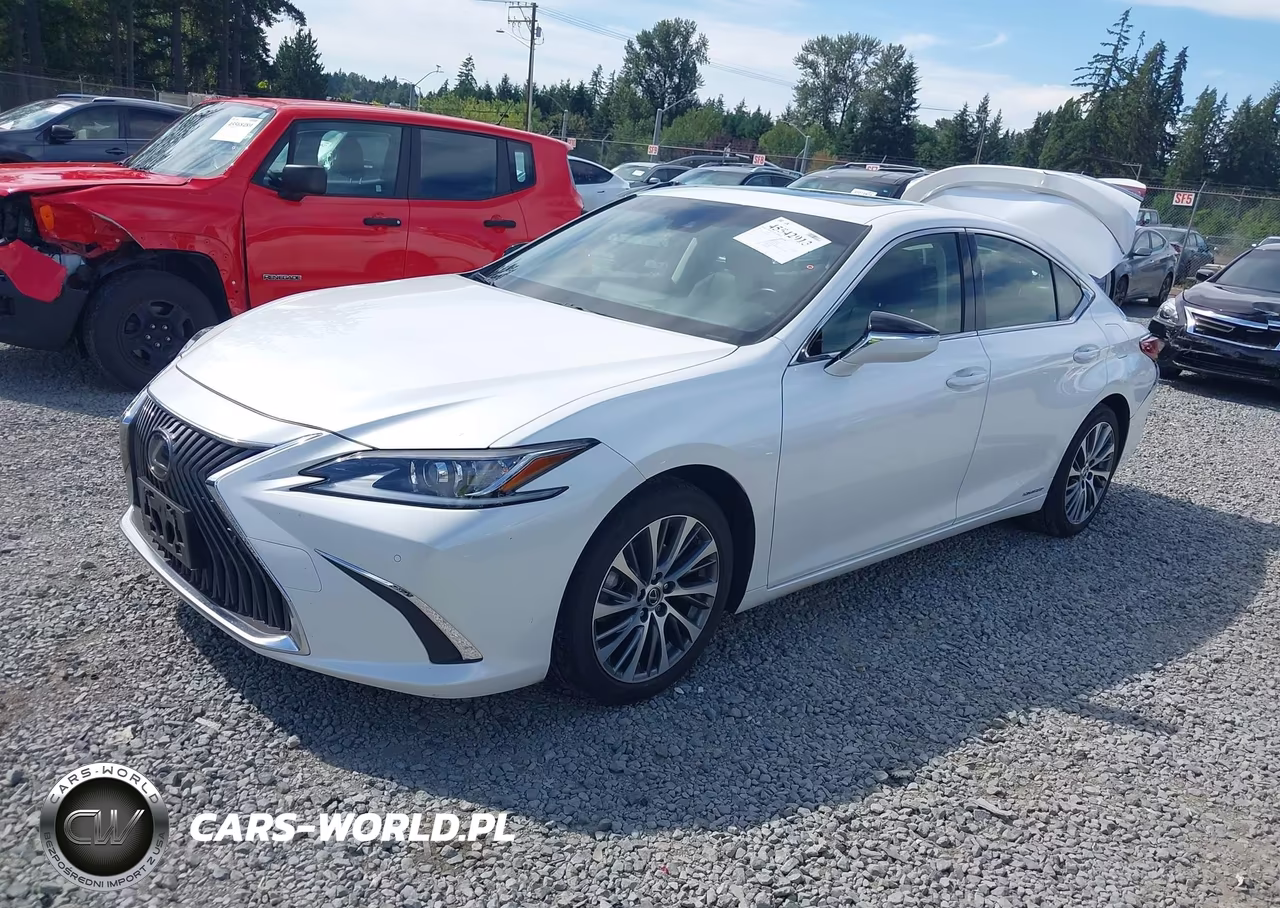 2019 Lexus Es 300H VIN:JTHB21B16K2001867 - 2