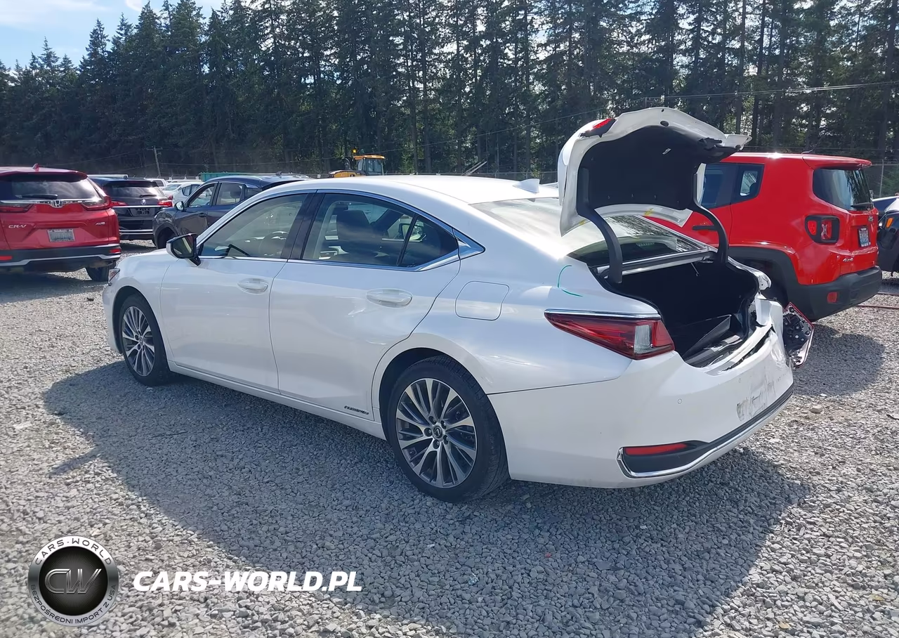 2019 Lexus Es 300H VIN:JTHB21B16K2001867 - 3