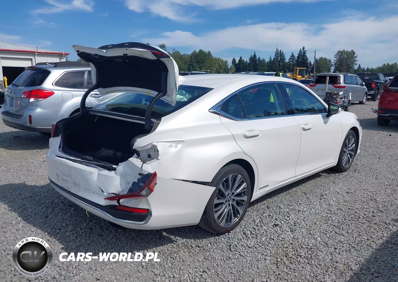 2019 Lexus Es 300H VIN:JTHB21B16K2001867 - 4