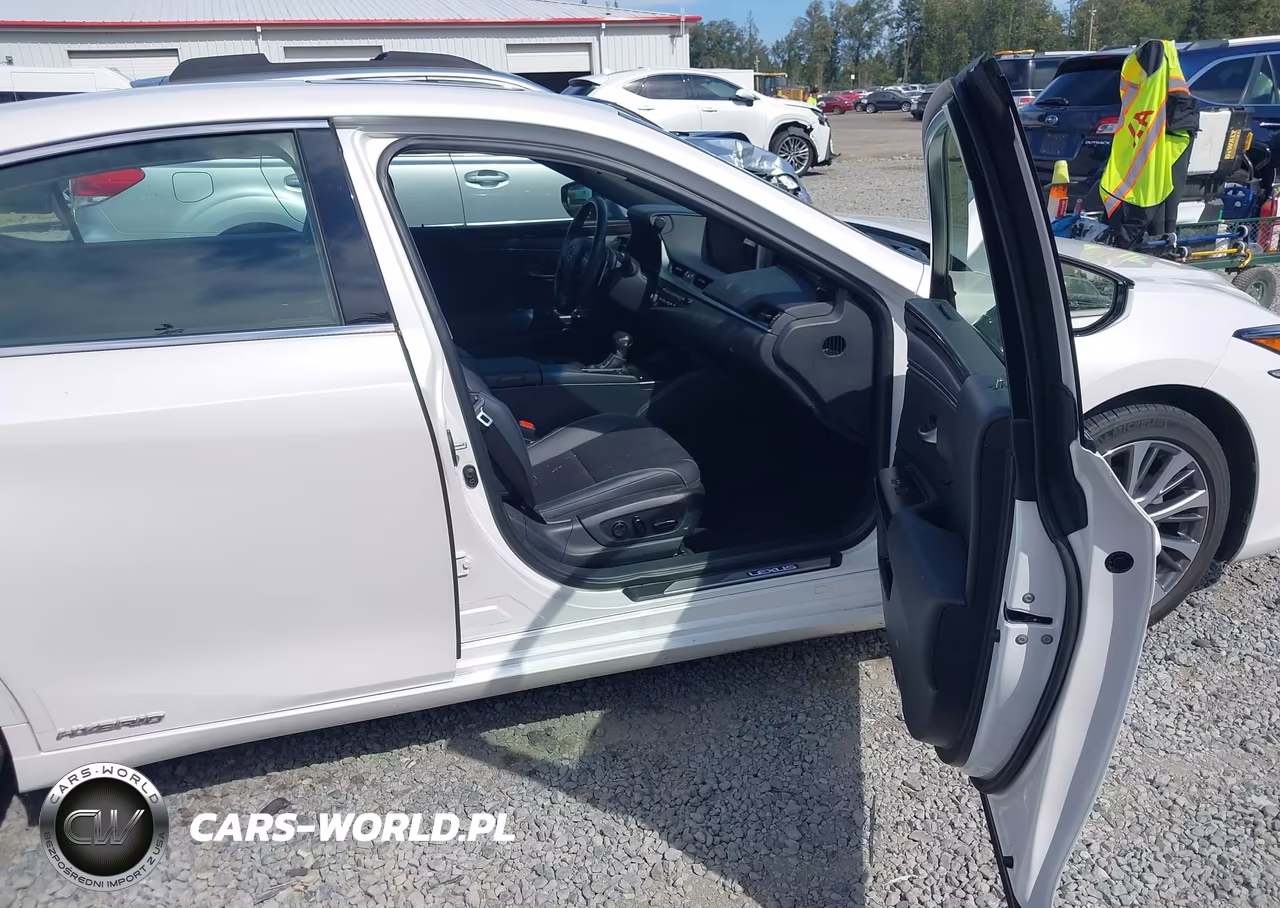 2019 Lexus Es 300H VIN:JTHB21B16K2001867 - 5