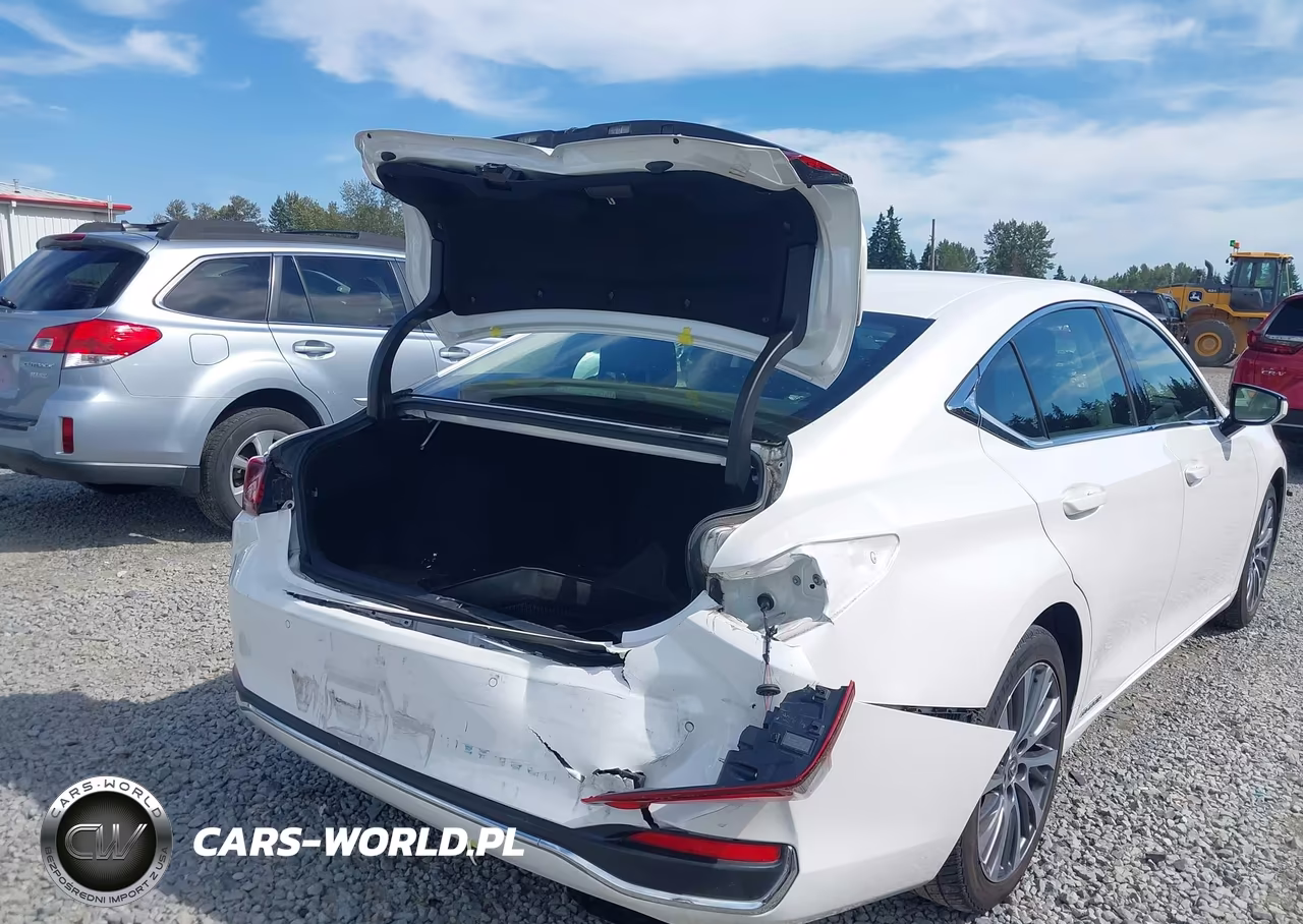 2019 Lexus Es 300H VIN:JTHB21B16K2001867 - 6