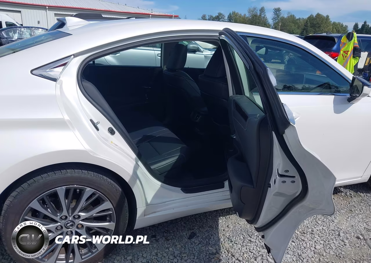 2019 Lexus Es 300H VIN:JTHB21B16K2001867 - 8