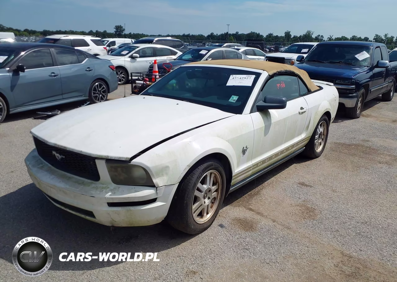 2009 Ford Mustang V6-V6 Premium VIN:1ZVHT84N795144916 - 2