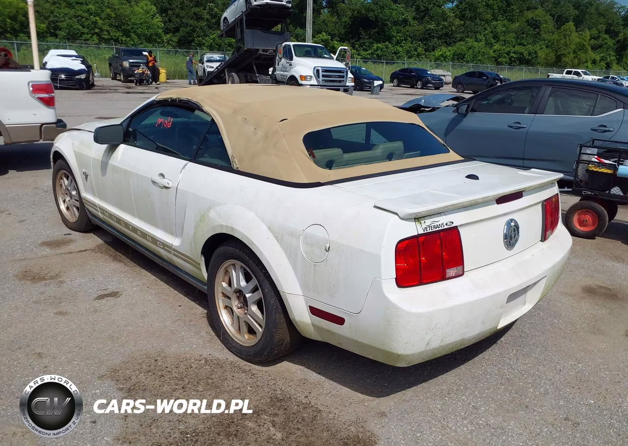 2009 Ford Mustang V6-V6 Premium VIN:1ZVHT84N795144916 - 3