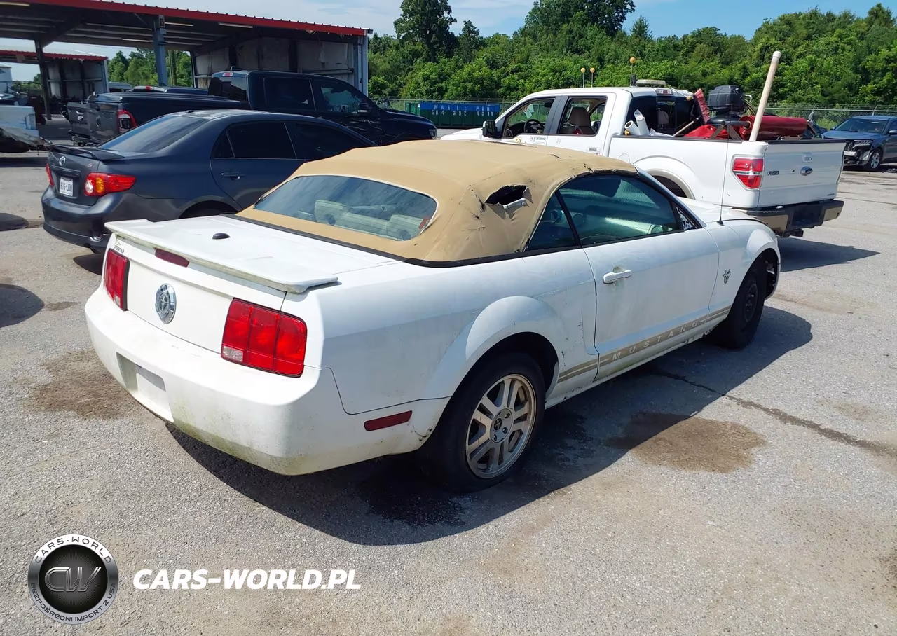 2009 Ford Mustang V6-V6 Premium VIN:1ZVHT84N795144916 - 4