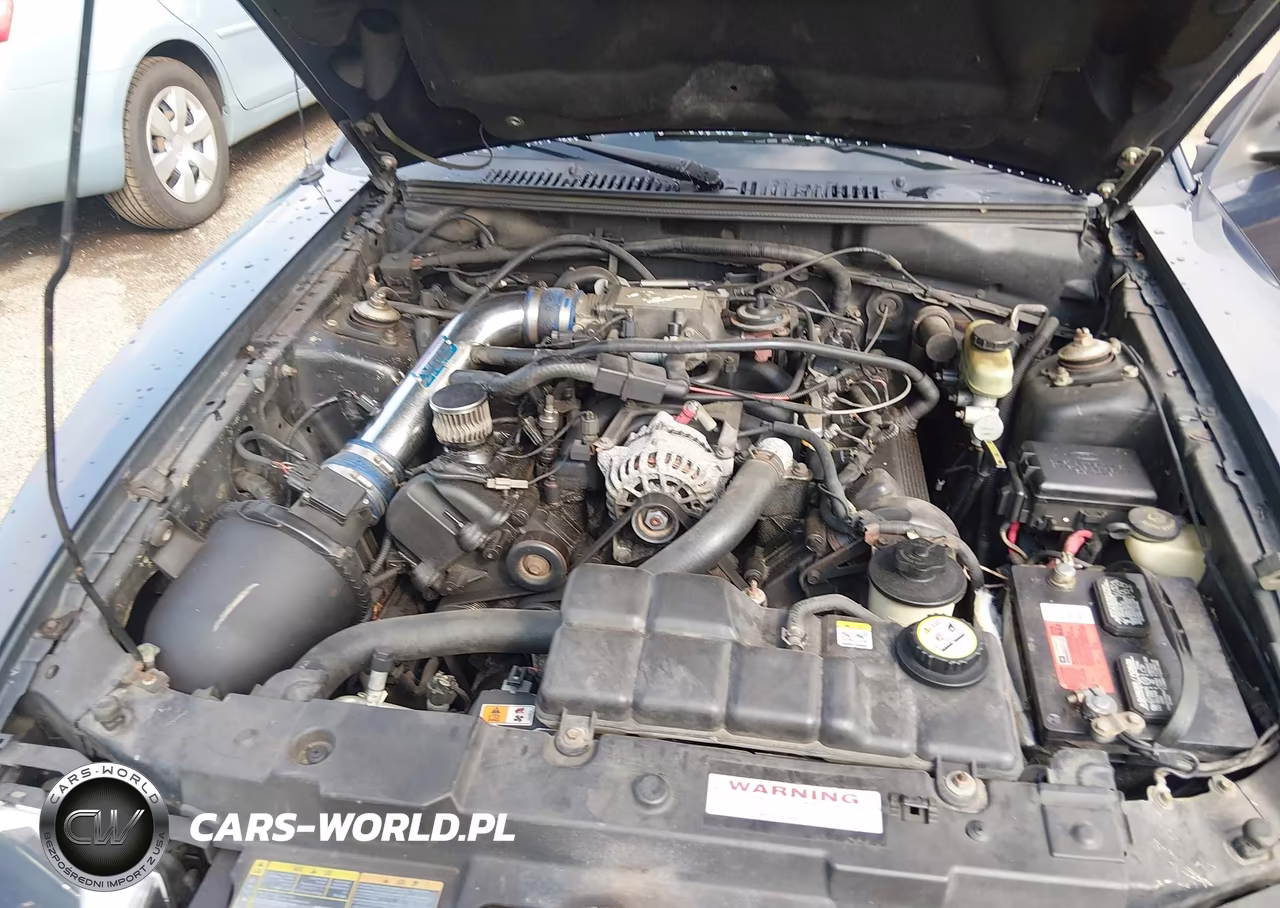 2001 Ford Mustang Gt VIN:1FAFP45X61F165820 - 10