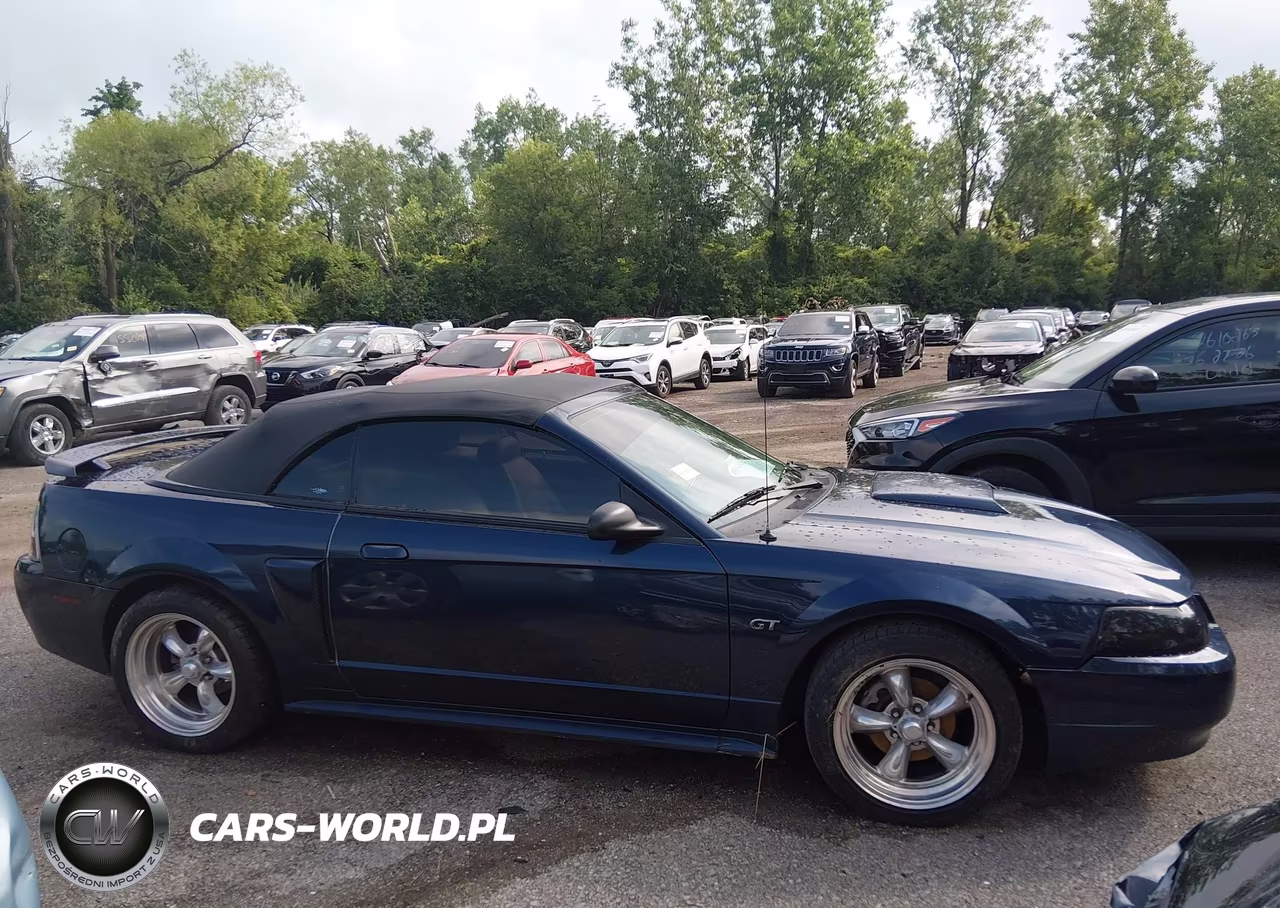 2001 Ford Mustang Gt VIN:1FAFP45X61F165820 - 13