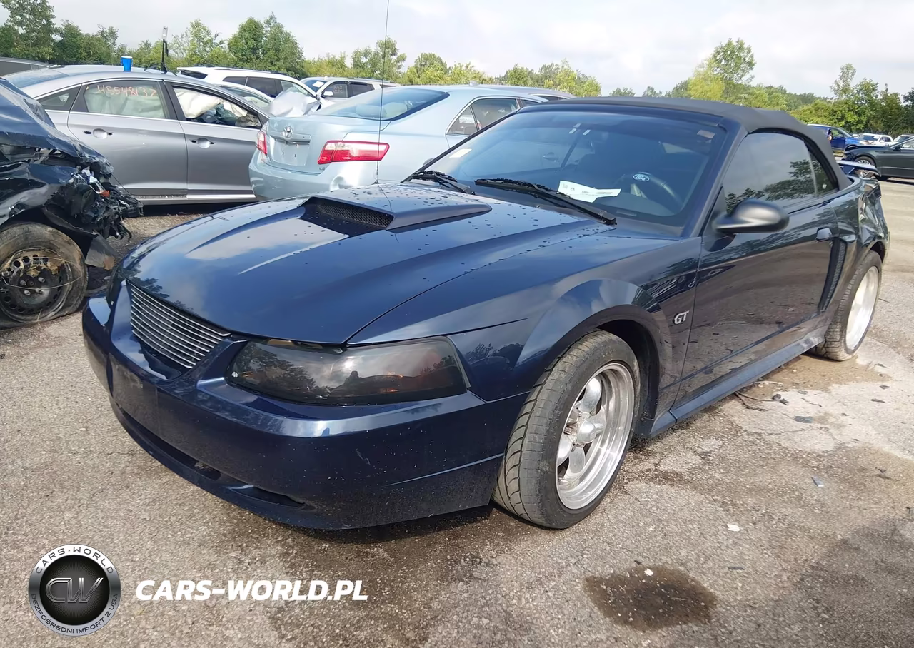 2001 Ford Mustang Gt VIN:1FAFP45X61F165820 - 2