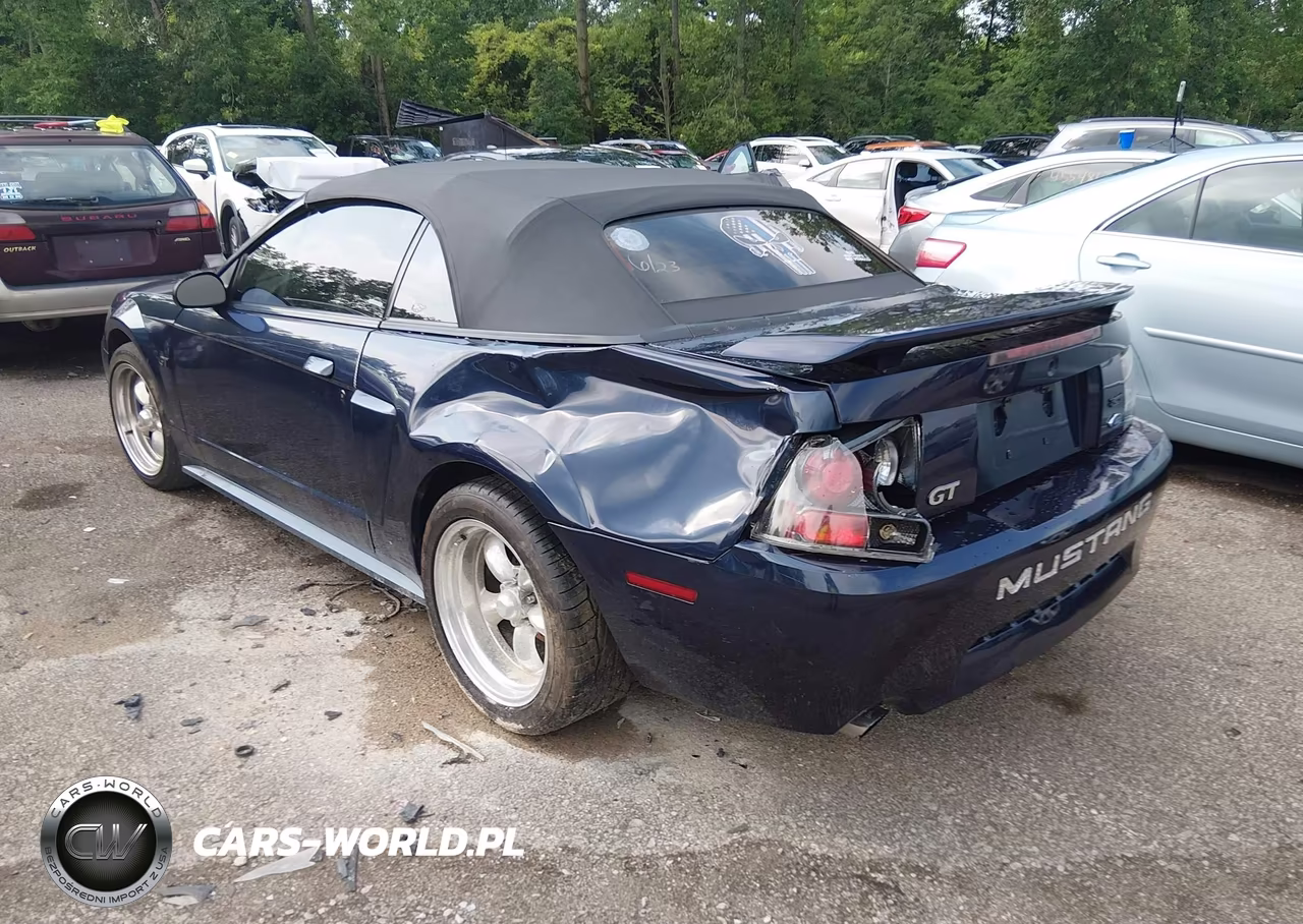 2001 Ford Mustang Gt VIN:1FAFP45X61F165820 - 3