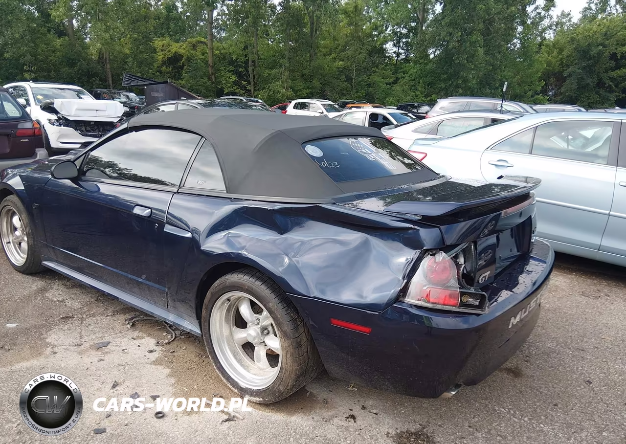2001 Ford Mustang Gt VIN:1FAFP45X61F165820 - 6