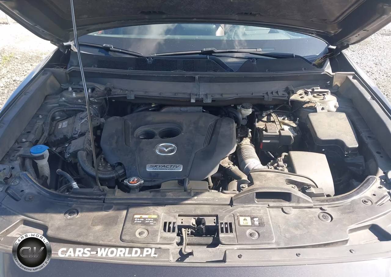 2016 Mazda Cx-9 Signature VIN:JM3TCBEY1G0100804 - 10