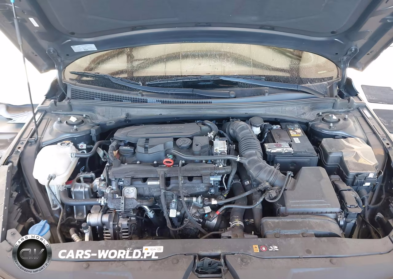 2022 Hyundai Elantra N Line VIN:KMHLR4AF9NU362546 - 10