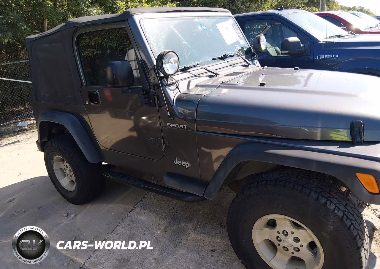 2003 Jeep Wrangler Sport VIN:1J4FA49S23P304648 - 13