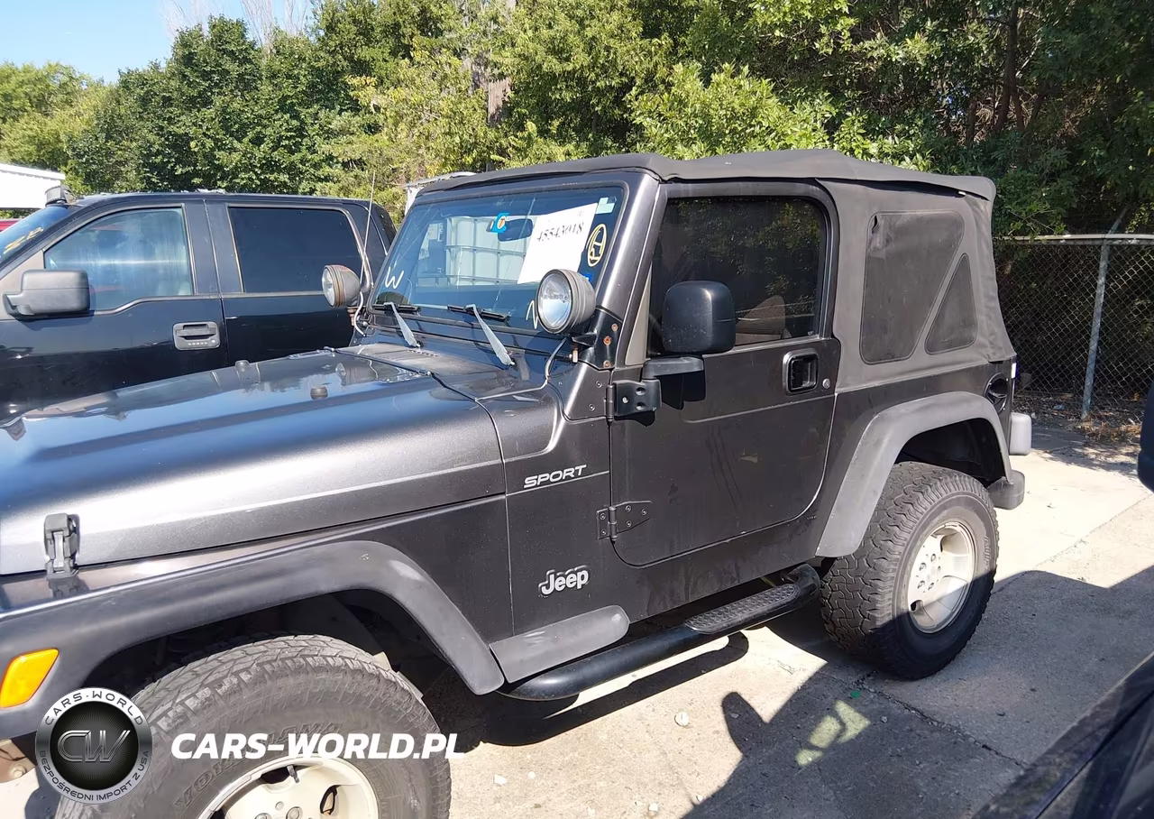 2003 Jeep Wrangler Sport VIN:1J4FA49S23P304648 - 14