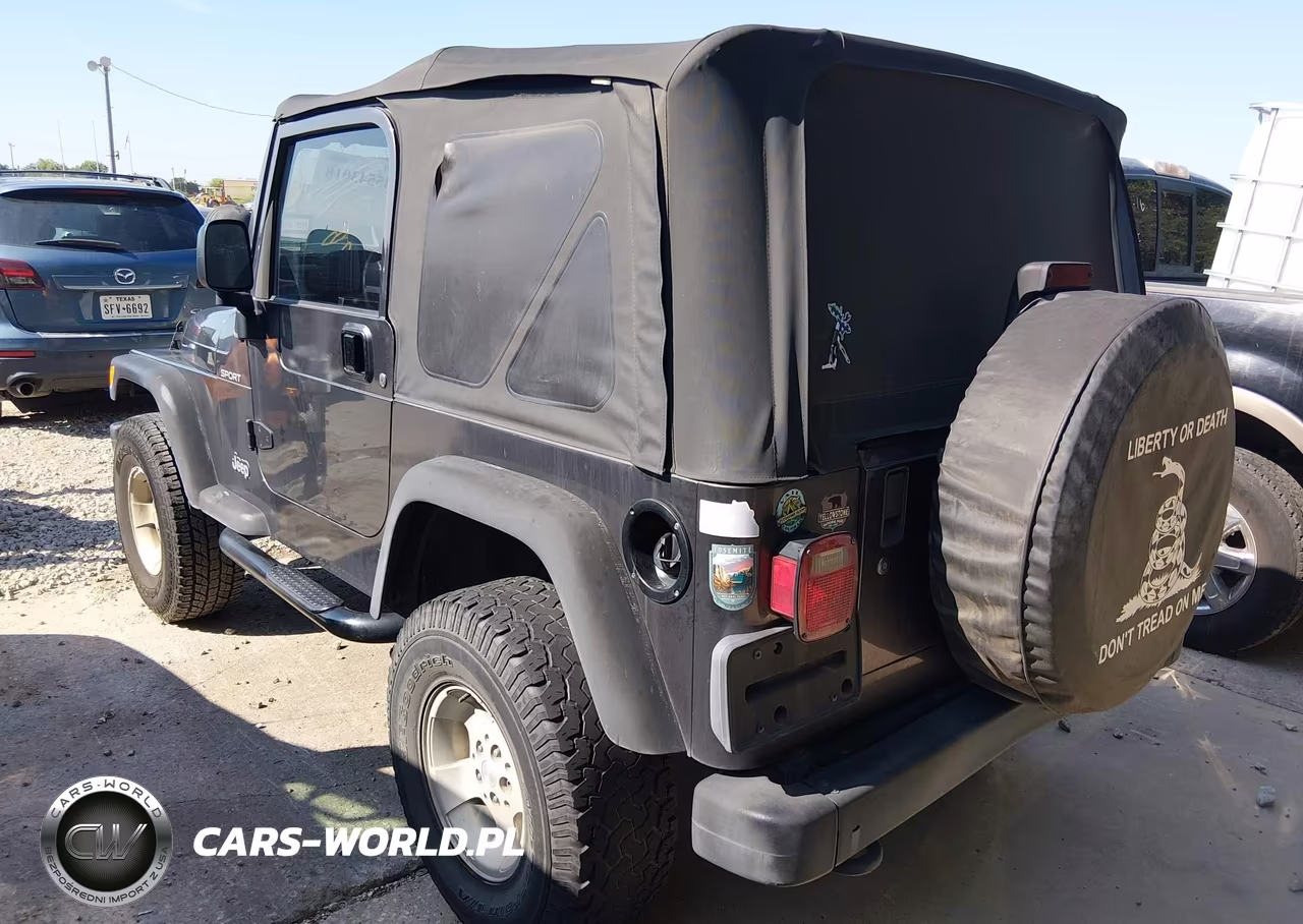 2003 Jeep Wrangler Sport VIN:1J4FA49S23P304648 - 3