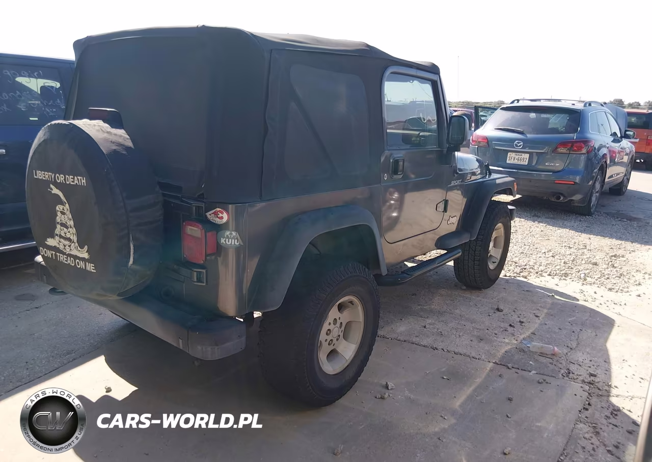 2003 Jeep Wrangler Sport VIN:1J4FA49S23P304648 - 4