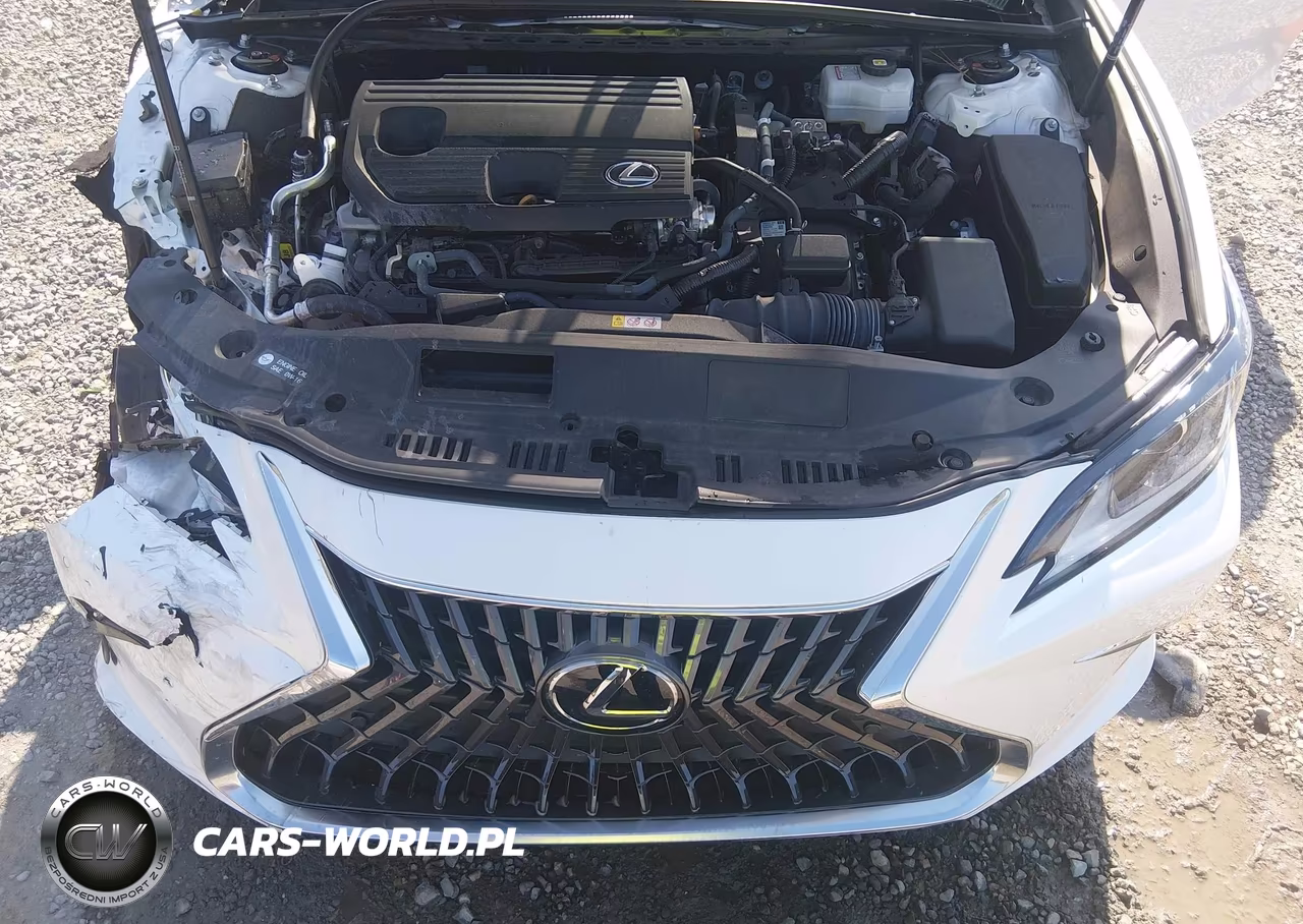 2023 Lexus Es 300H VIN:58ADA1C15PU036430 - 10