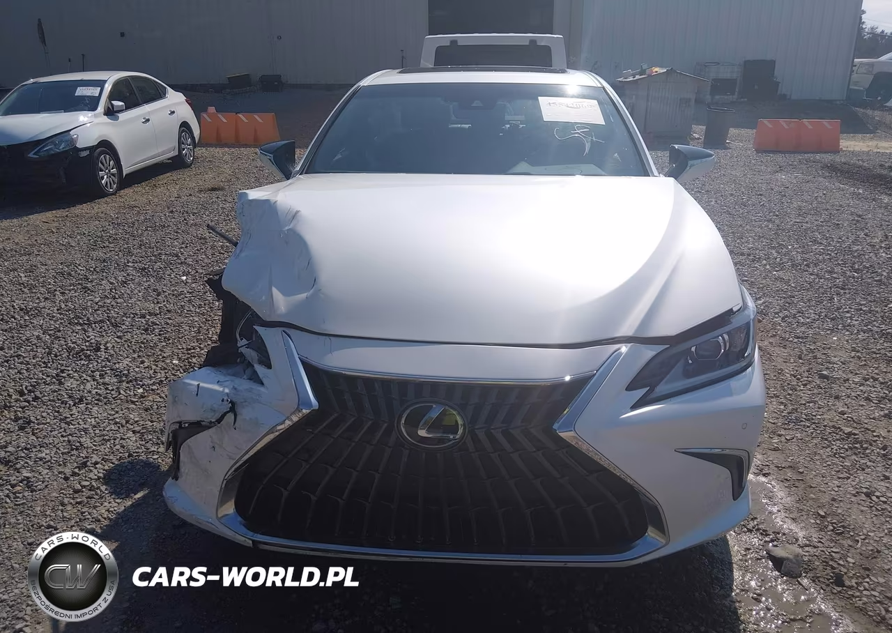 2023 Lexus Es 300H VIN:58ADA1C15PU036430 - 13