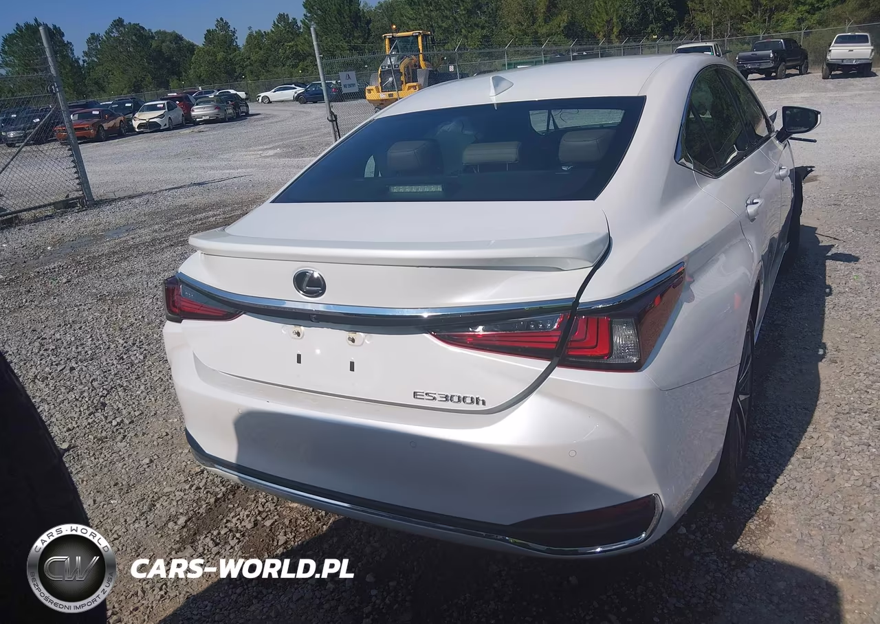 2023 Lexus Es 300H VIN:58ADA1C15PU036430 - 17
