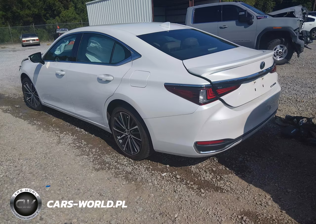 2023 Lexus Es 300H VIN:58ADA1C15PU036430 - 3
