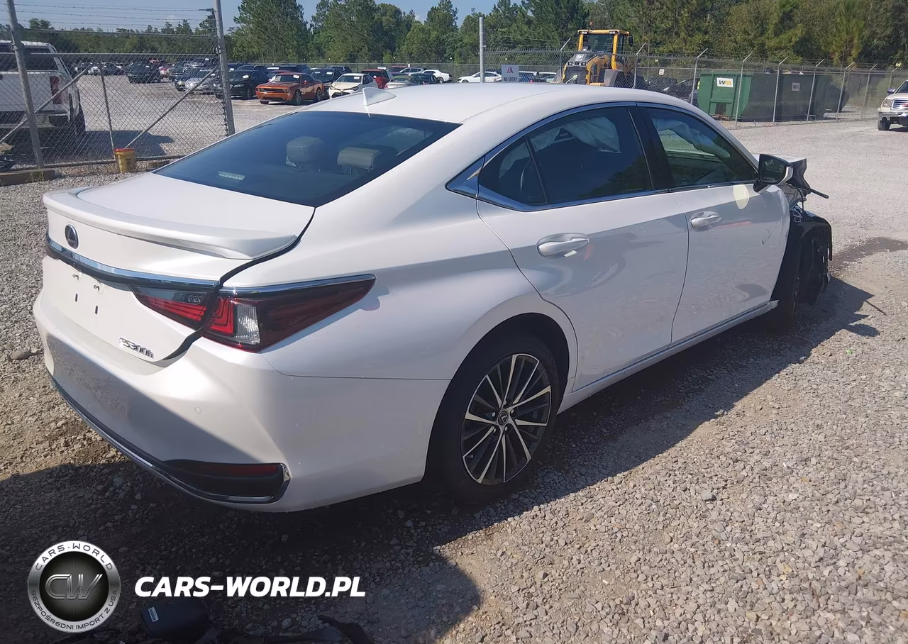 2023 Lexus Es 300H VIN:58ADA1C15PU036430 - 4