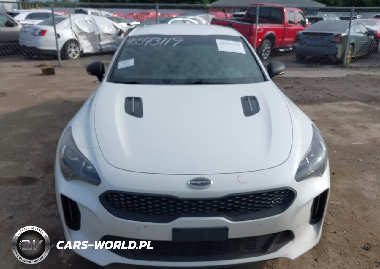 2020 Kia Stinger Gt VIN:KNAE35LC1L6072209 - 13
