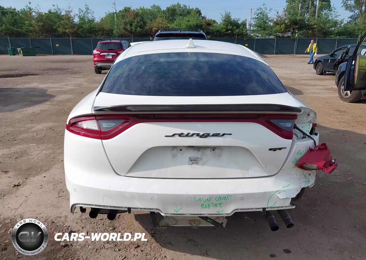 2020 Kia Stinger Gt VIN:KNAE35LC1L6072209 - 17