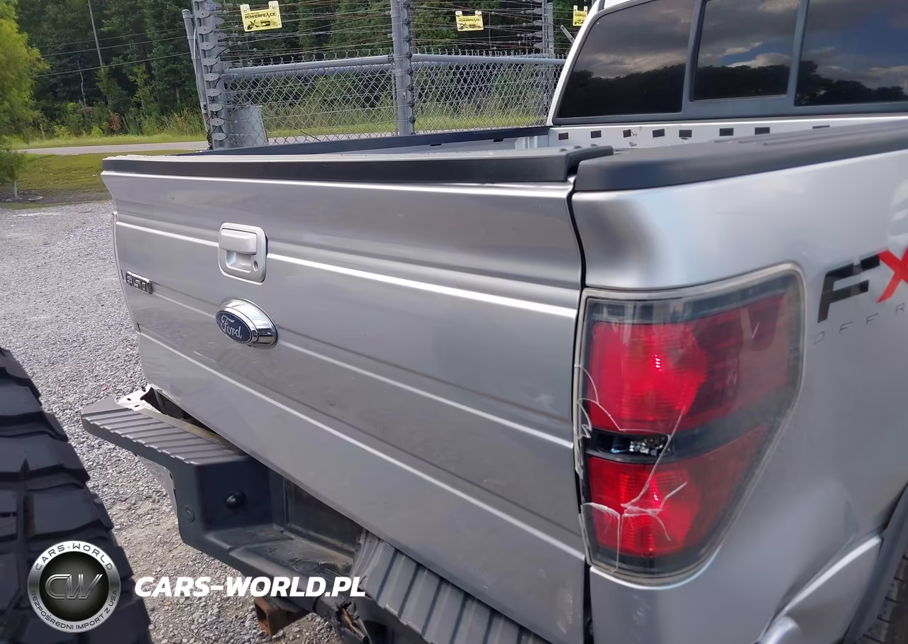 2011 Ford F-150 Fx4-King Ranch-Lariat-Platinum-Xl-Xlt VIN:1FTFW1EF2BFB95613 - 16
