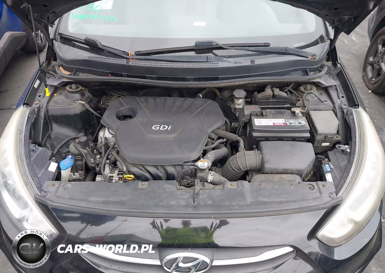 2016 Hyundai Accent Se VIN:KMHCT4AE3GU102123 - 10