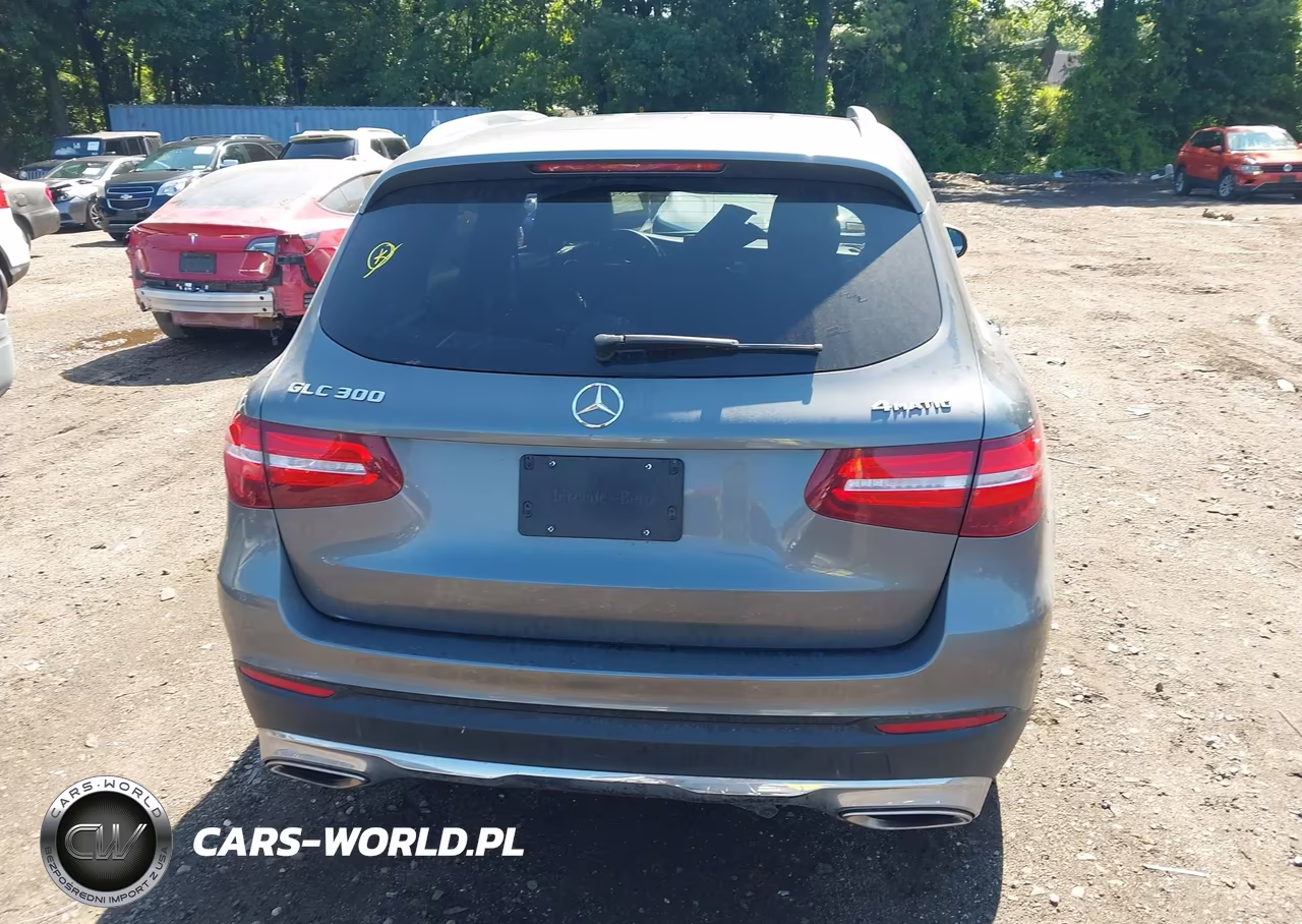 2019 Mercedes-Benz Glc 300 4Matic VIN:WDC0G4KB6KV152284 - 16