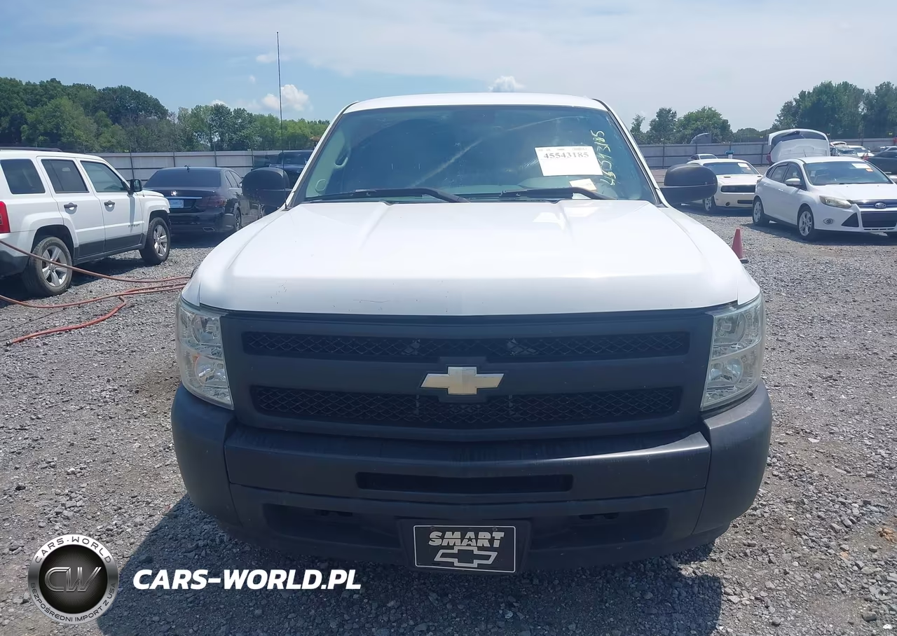 2009 Chevrolet Silverado 1500 Work Truck VIN:1GCEC19C49Z261642 - 12
