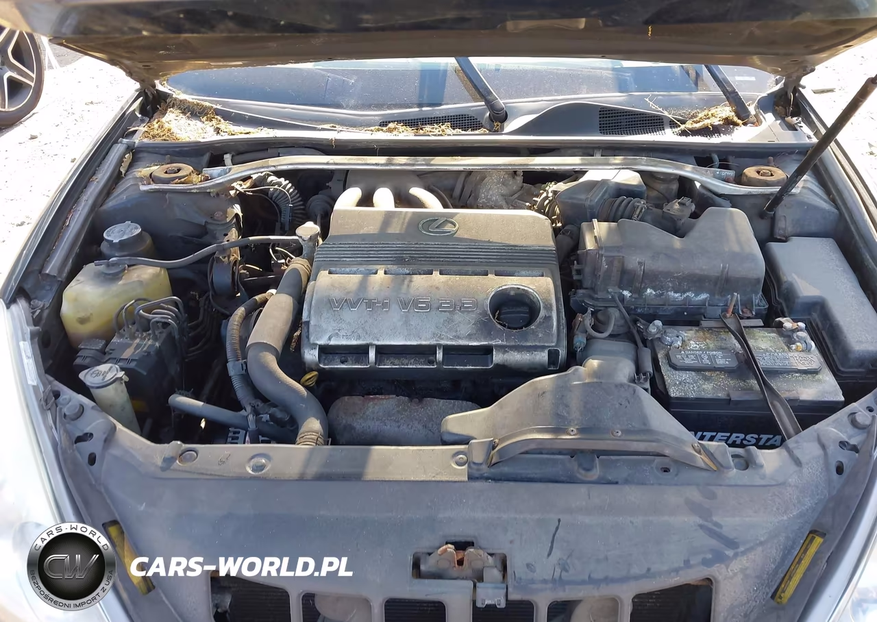 2004 Lexus Es 330 VIN:JTHBA30G845028883 - 10