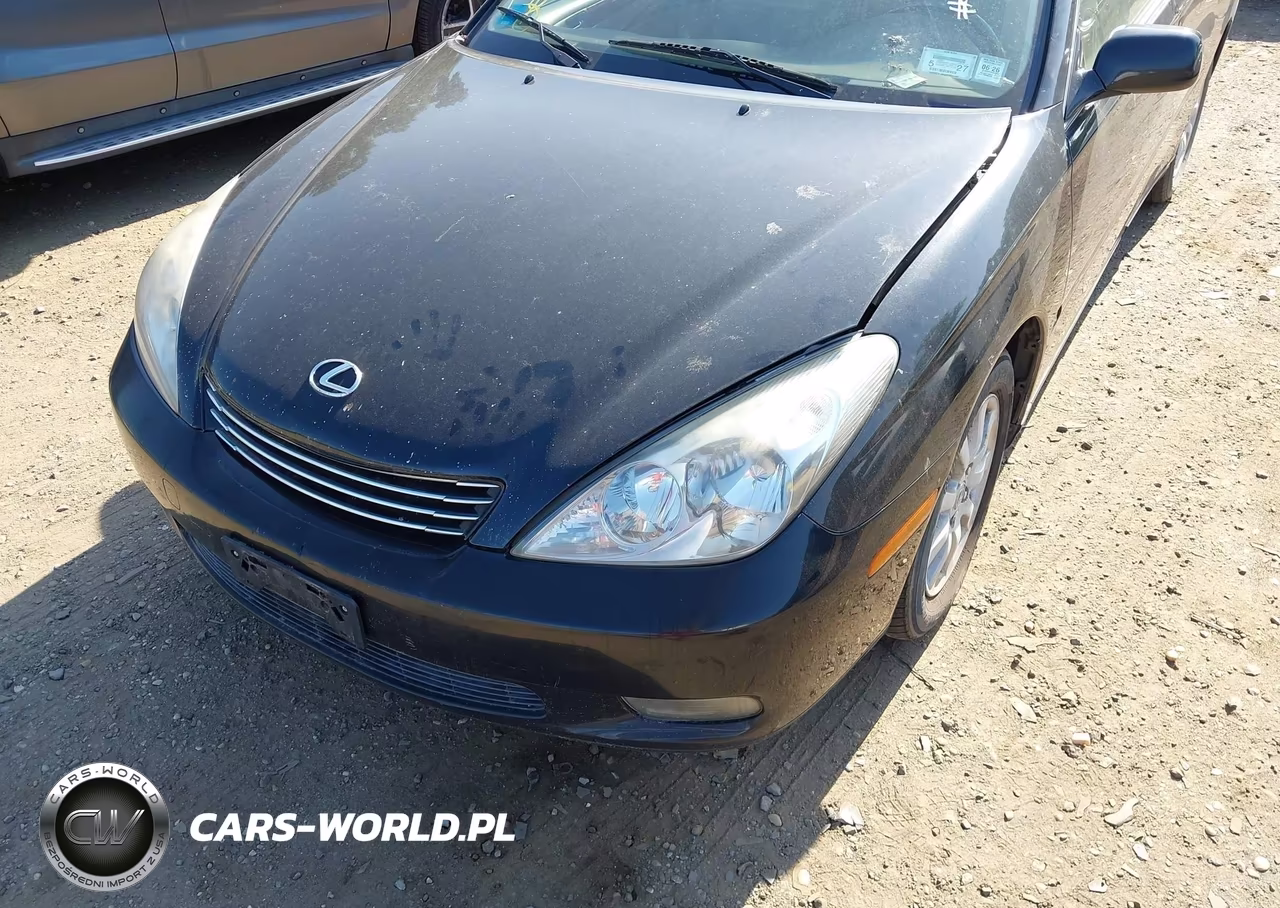 2004 Lexus Es 330 VIN:JTHBA30G845028883 - 6
