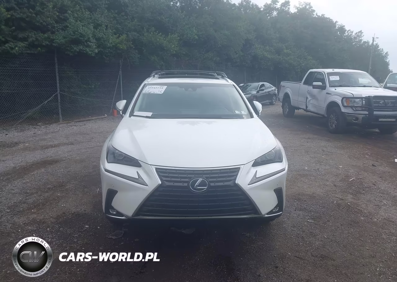 2018 Lexus Nx 300H VIN:JTJBJRBZ9J2080133 - 12