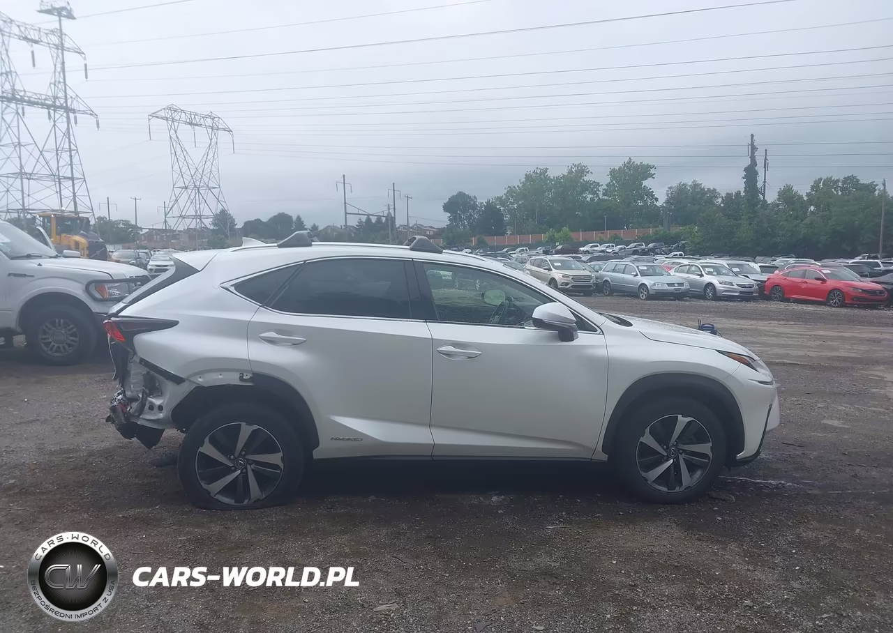 2018 Lexus Nx 300H VIN:JTJBJRBZ9J2080133 - 13